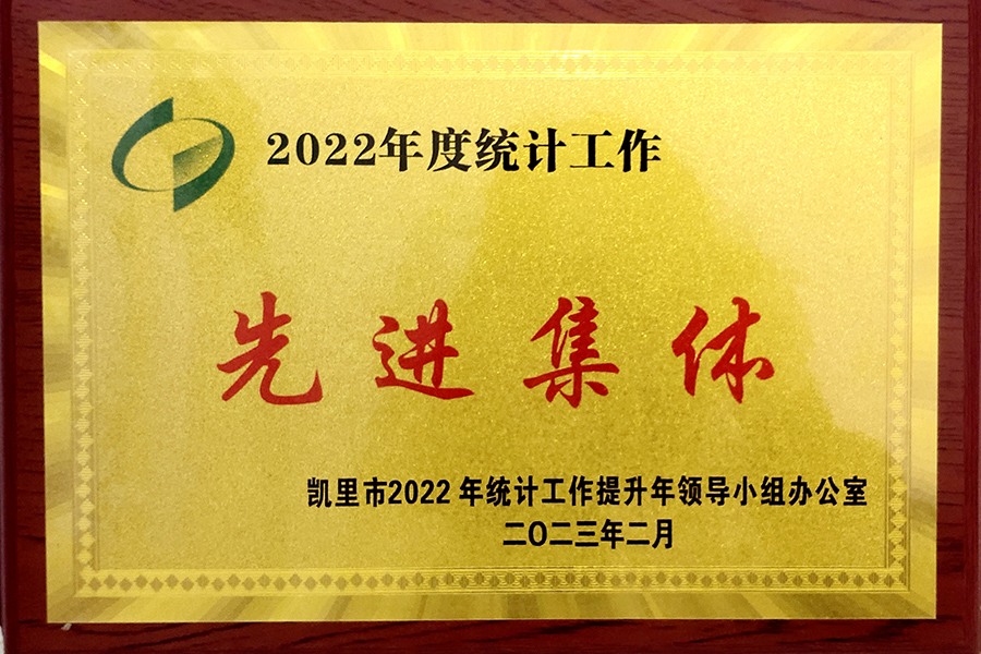 凱里市2022年度統計工作“先進集體”榮譽稱號-貴州生物制藥